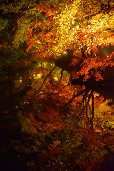 Осенняя листва в саду Рикугиен, Комагоме, Токио — стоковое фото