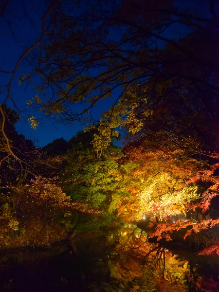 Abstraktní grunge pozadíΦθινόπωρο φύλλωμα στο Τόκιο Rikugien κήπο, Komagome, — Φωτογραφία Αρχείου