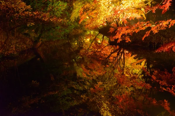 Осіннє листя в Rikugien саду, Komagome, Токіо — стокове фото