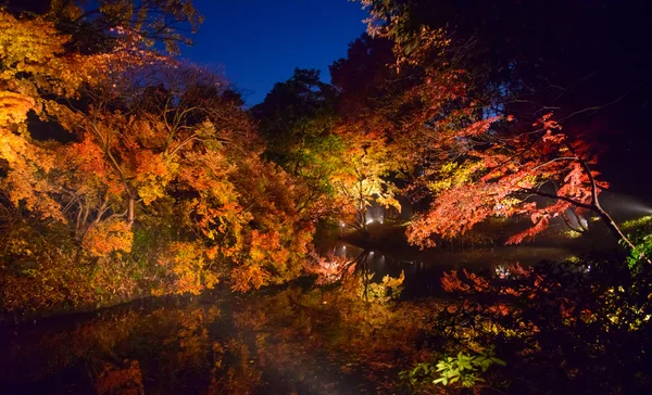 Autumn foliage in Rikugien Garden, Komagome, Tokyo — Stock Photo, Image