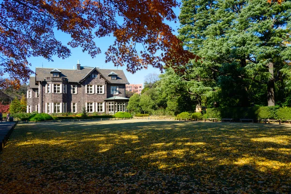 Kyu-Furukawa tuinen in de herfst in Tokyo — Stockfoto