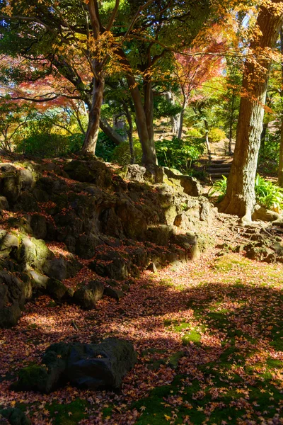 Φθινόπωρο φύλλωμα στους κήπους κιου-Furukawa, Τόκιο — Φωτογραφία Αρχείου
