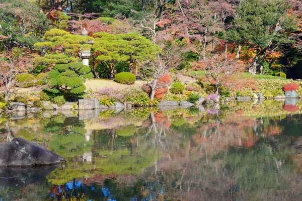 Autumn foliage in the Kyu-Furukawa Gardens, Tokyo — Stock Photo, Image