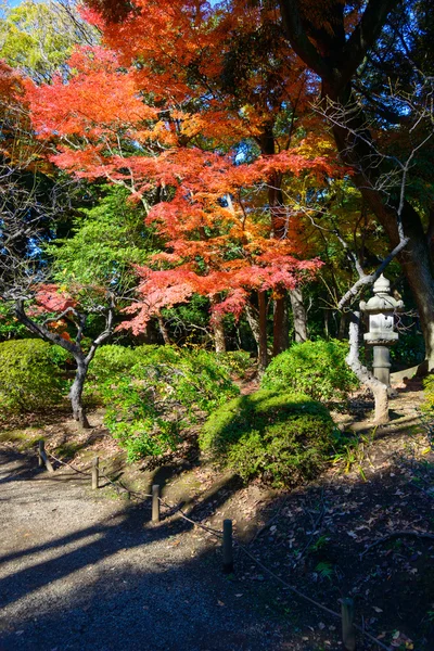 Liście jesienią w ogrodzie Kyu-Furukawa, Tokio — Zdjęcie stockowe