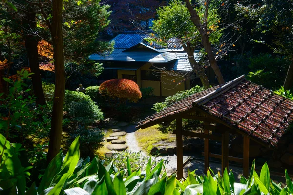 秋叶在圭古川花园，东京 — 图库照片