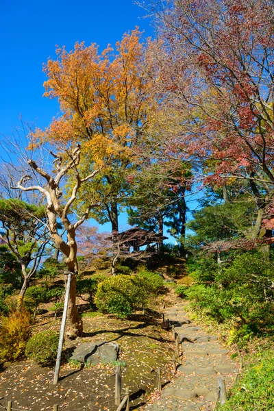 Folhagem de outono nos Jardins Kyu-Furukawa, Tóquio — Fotografia de Stock