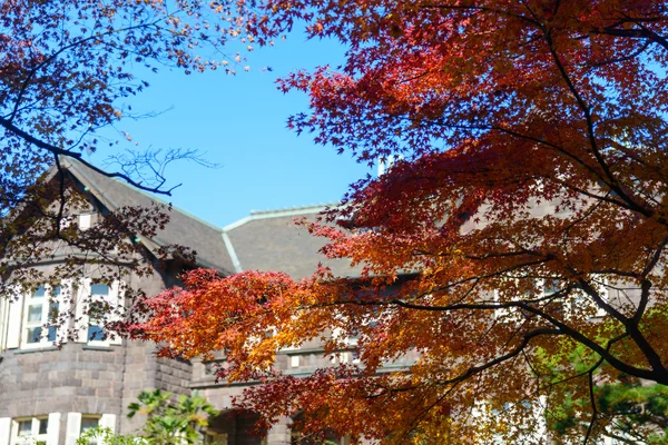 Huis van de westelijk-stijl en esdoorns in de tuinen van Kyu-Furukawa, Tokyo — Stockfoto