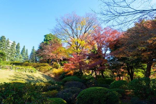 Podzimní listí v zahradě Kyu-Furukawa, Tokio — Stock fotografie