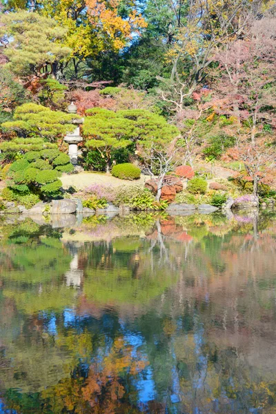 Liście jesienią w ogrodzie Kyu-Furukawa, Tokio — Zdjęcie stockowe