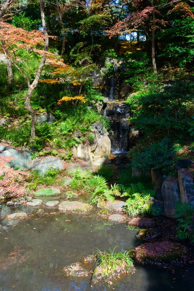 Höst lövverk i Kyu-Furukawa trädgårdar, Tokyo — Stockfoto