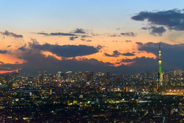 Tokyo in the twilight clipart
