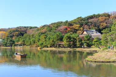 Sonbahar yaprakları Sankeien Bahçe, Yokohama, Kanagawa, Japonya