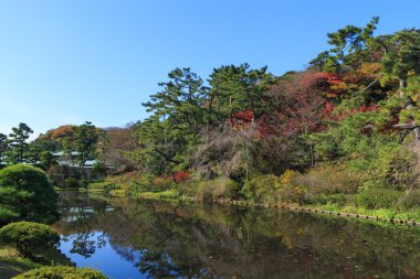 Sonbahar yaprakları Sankeien Bahçe, Yokohama, Kanagawa, Japonya