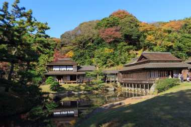 Sonbahar yaprakları Sankeien Bahçe, Yokohama, Kanagawa, Japonya