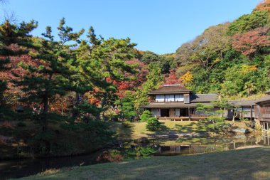 Sonbahar yaprakları Sankeien Bahçe, Yokohama, Kanagawa, Japonya