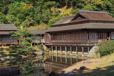 Sonbahar yaprakları Sankeien Bahçe, Yokohama, Kanagawa, Japonya