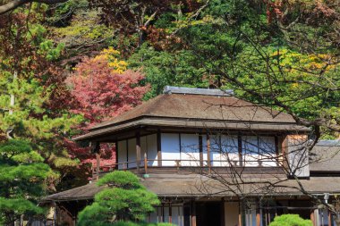 Sonbahar yaprakları Sankeien Bahçe, Yokohama, Kanagawa, Japonya