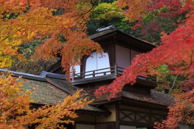 Sonbahar yaprakları Sankeien Bahçe, Yokohama, Kanagawa, Japonya