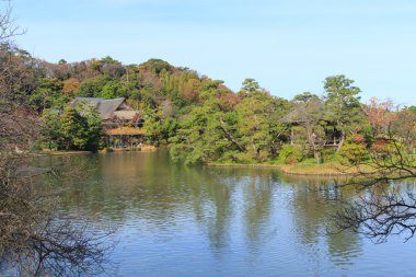 Sonbahar yaprakları Sankeien Bahçe, Yokohama, Kanagawa, Japonya