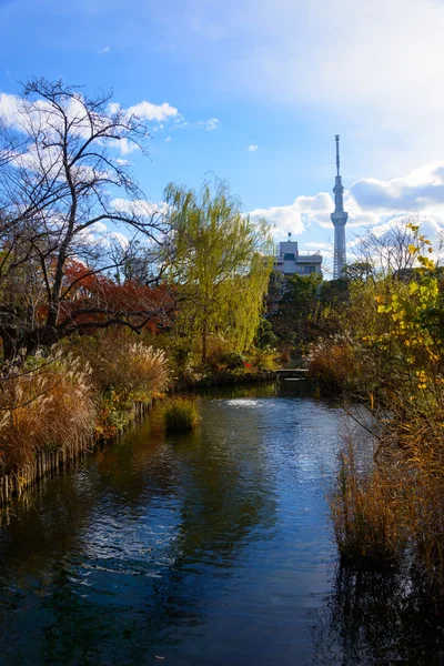 東京スカイツリーと秋の向島百花園の庭 — ストック写真