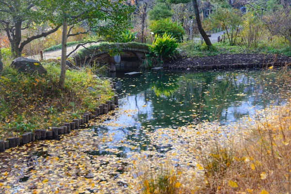 東京で秋の向島百花園の庭 — ストック写真