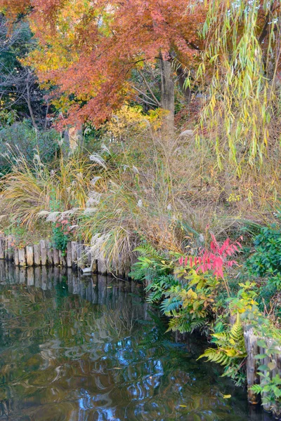 Giardino Mukojima-Hyakkaen in autunno a Tokyo — Foto Stock