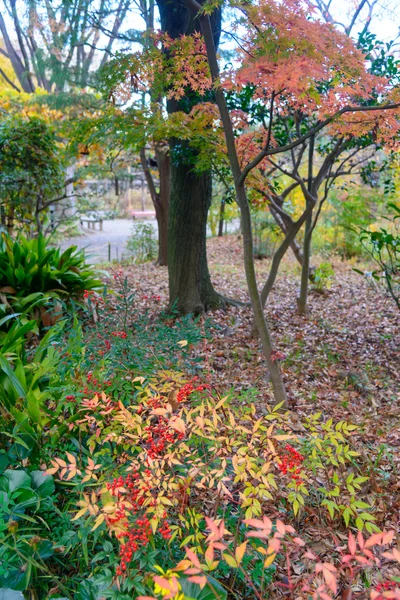 Jardim Mukojima-Hyakkaen no outono em Tóquio — Fotografia de Stock