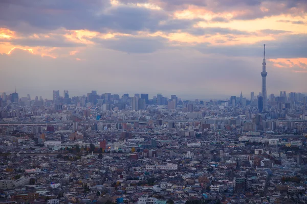 Tokyo in der Abenddämmerung — Stockfoto
