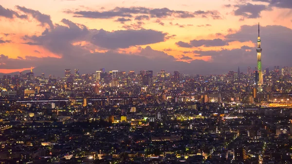 Tokyo i skymningen — Stockfoto