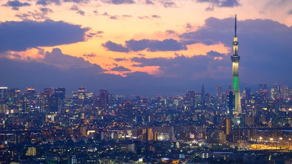 Tokyo in der Dämmerung — Stockfoto