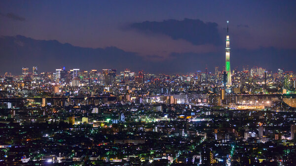 Tokyo in the twilight