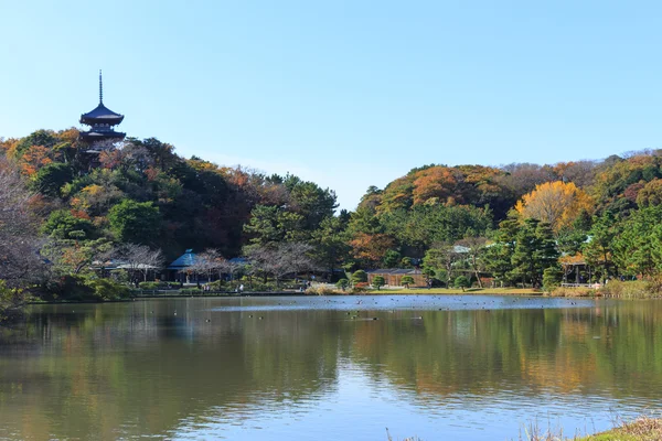 Folhagem de outono no Jardim Sankeien, Yokohama, Kanagawa, Japão — Fotografia de Stock