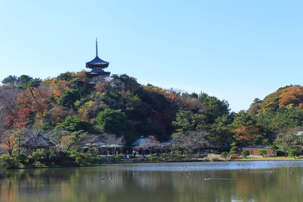 Őszi lombozat, a Sankeien kert, Yokohama, Kanagawa, Japán — Stock Fotó