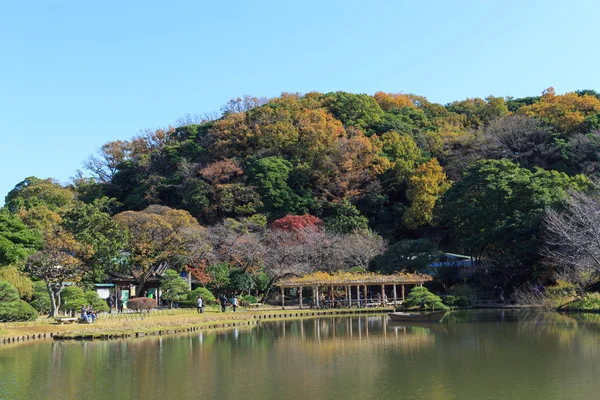 Follaje otoñal en el Jardín Sankeien, Yokohama, Kanagawa, Japón — Foto de Stock