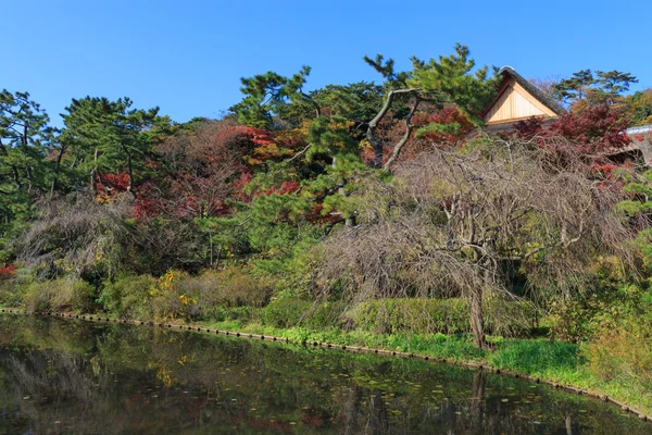 Follaje otoñal en el Jardín Sankeien, Yokohama, Kanagawa, Japón — Foto de Stock