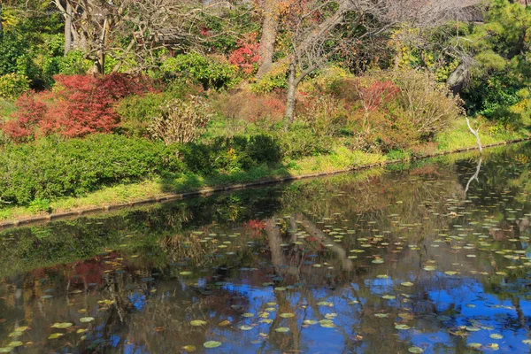 Herbstlaub im Sankeien-Garten, Yokohama, Kanagawa, Japan — Stockfoto