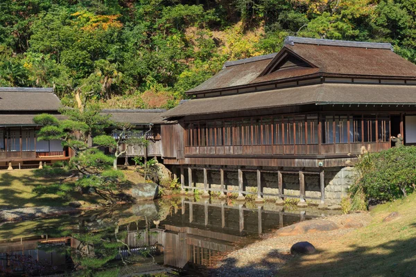 Herfst bladeren in de Sankeien Tuin, Yokohama, Kanagawa, Japan — Stockfoto