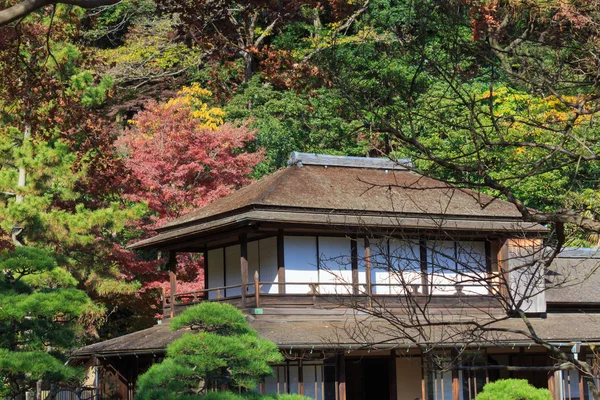 Podzimní listí v zahrada Sankeien, Yokohama, Kanagawa, Japonsko — Stock fotografie