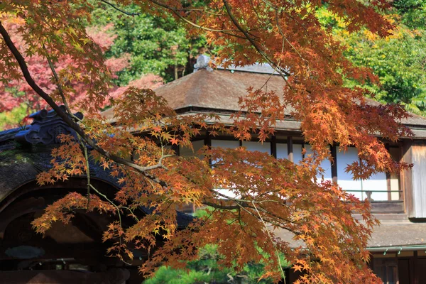 横浜三渓園神奈川県紅葉 — ストック写真