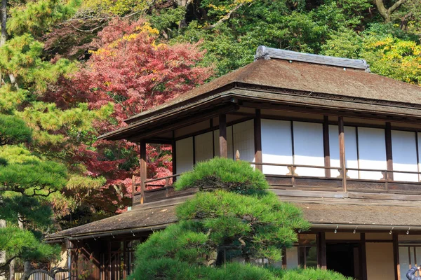 秋叶在日本横滨三溪园，横滨市神奈川县 — 图库照片