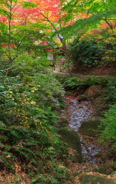 Podzimní listí v zahrada Sankeien, Yokohama, Kanagawa, Japonsko — Stock fotografie