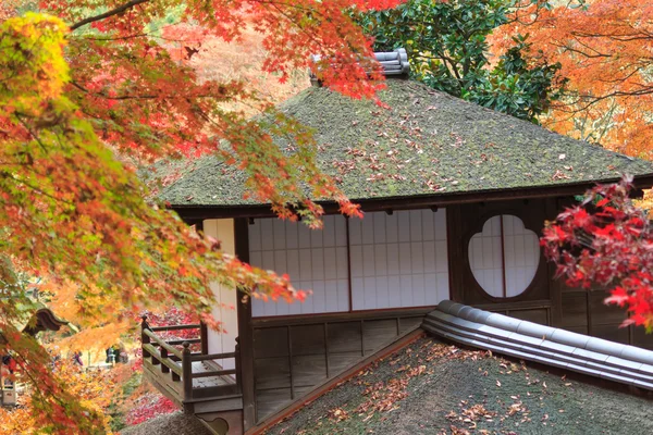 Herbstlaub im Sankeien-Garten, Yokohama, Kanagawa, Japan — Stockfoto