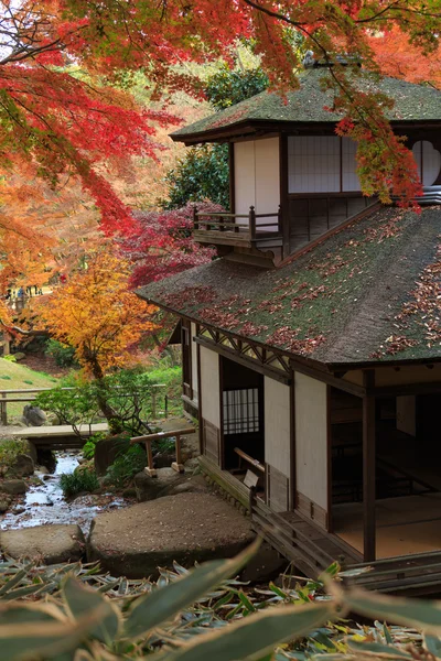 Φύλλα το φθινόπωρο στην Sankeien κήπο, Γιοκοχάμα, Kanagawa, Ιαπωνία — Φωτογραφία Αρχείου