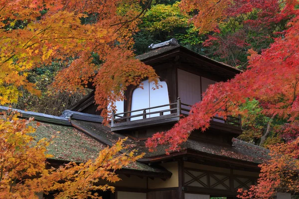 秋叶在日本横滨三溪园，横滨市神奈川县 — 图库照片