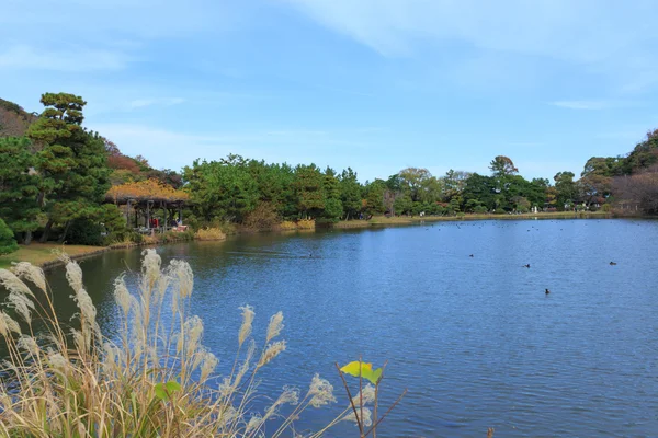 Dedaunan musim gugur di Taman Sankeien, Yokohama, Kanagawa, Jepang — Stok Foto