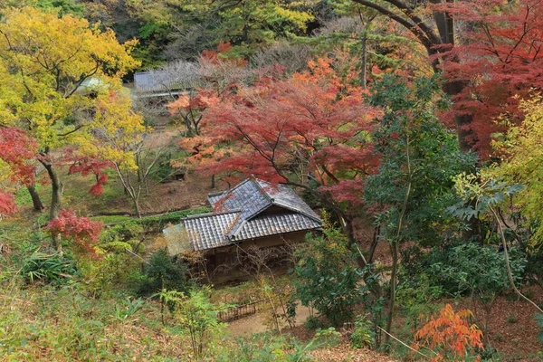 Feuillage d'automne dans le Jardin Sankeien, Yokohama, Kanagawa, Japon — Photo