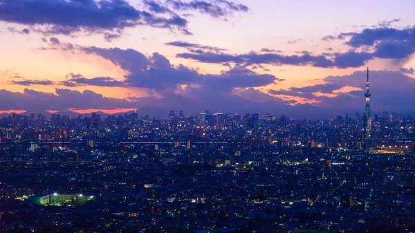 Токио в сумерках Стоковое Фото