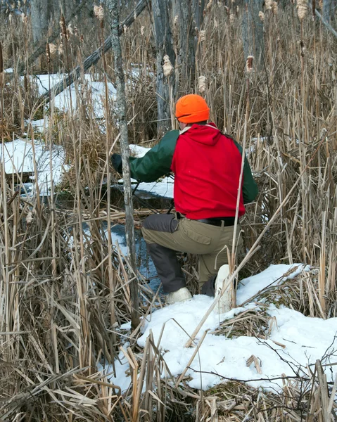 Trapper controllo trappole invernali — Foto Stock