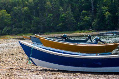Grand Manan 'daki Dark Harbour sahilinde balık avlama dorileri