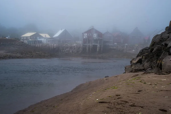 Zeehond Inham Visserij Haven Wanneer Het Tij Mist — Stockfoto